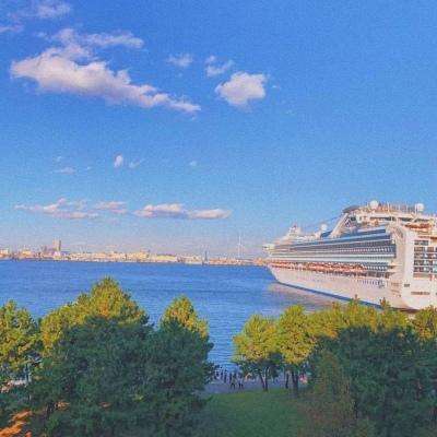 云开全站app下载手机版