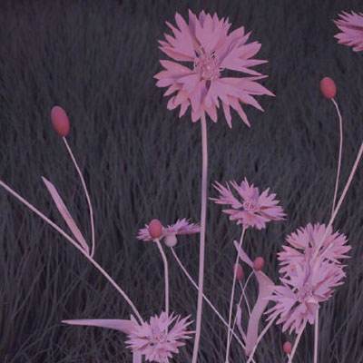 关于“开云电竞APP”