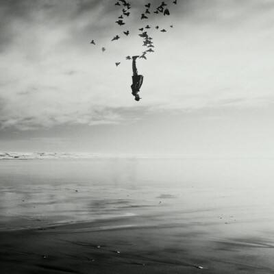 乐动体育app全站下载