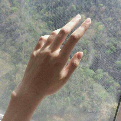 安博app官方网站截图