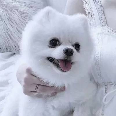 NG体育APP官方下载网址