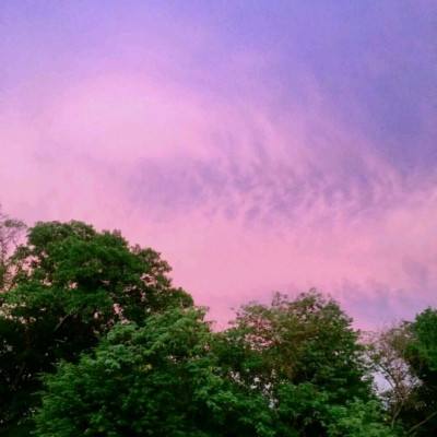 安博体育的最新版本手机app下载