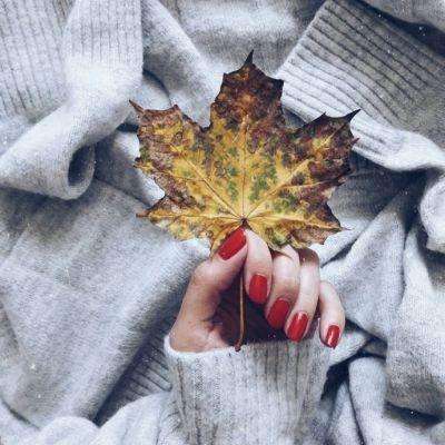 乐鱼体育官网app网页登录