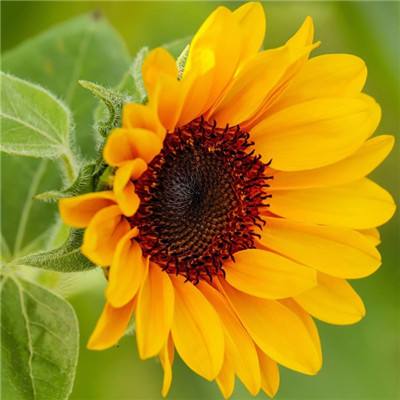 澳博app官方版最新下载安卓